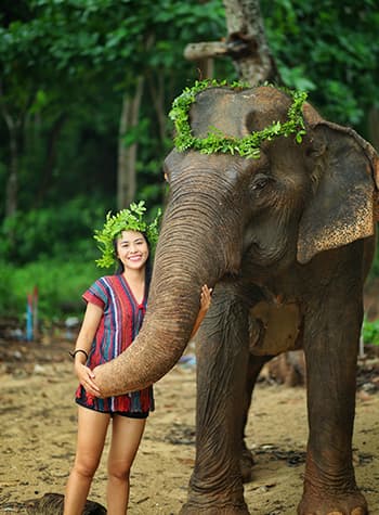 ค่ายดูแลช้างสิเหร่ — ประสบการณ์ช้างอย่างมีจริยธรรม